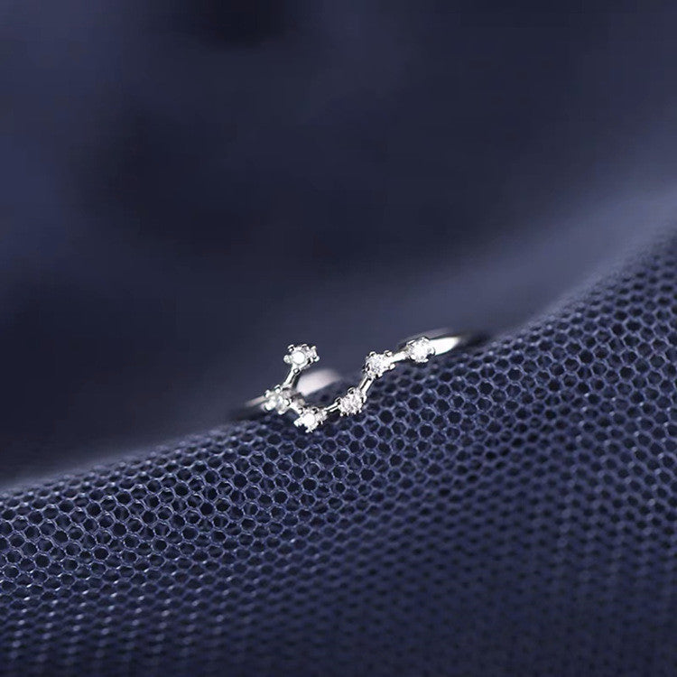 S925 Silver Twelve Constellation Ring Female