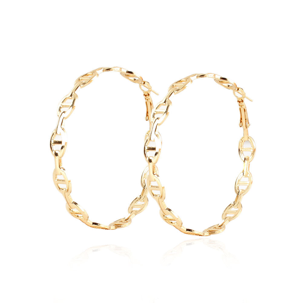 Hoop Earrings European And American  Style Earrings Earrings