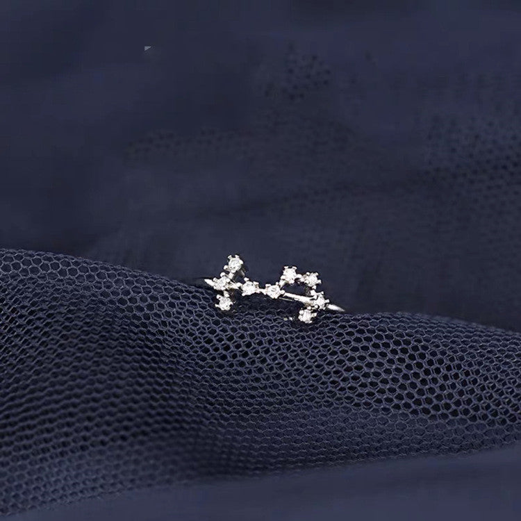 S925 Silver Twelve Constellation Ring Female