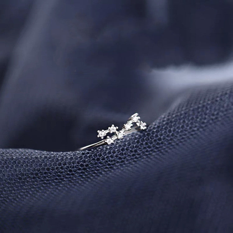 S925 Silver Twelve Constellation Ring Female