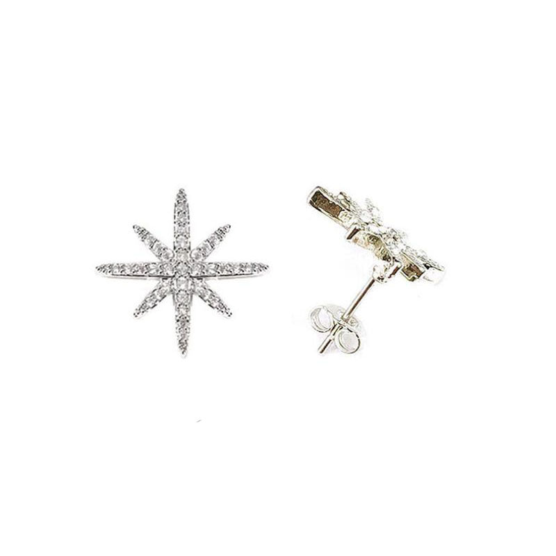 Ladies Fashion Full Diamond Niche Earrings
