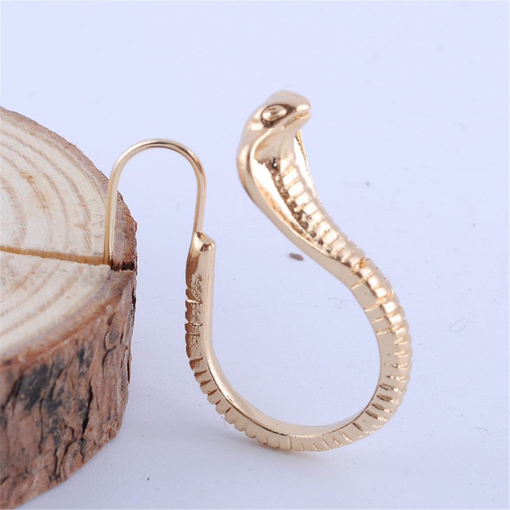 European And American Snake Earrings Men's And Women's Earrings