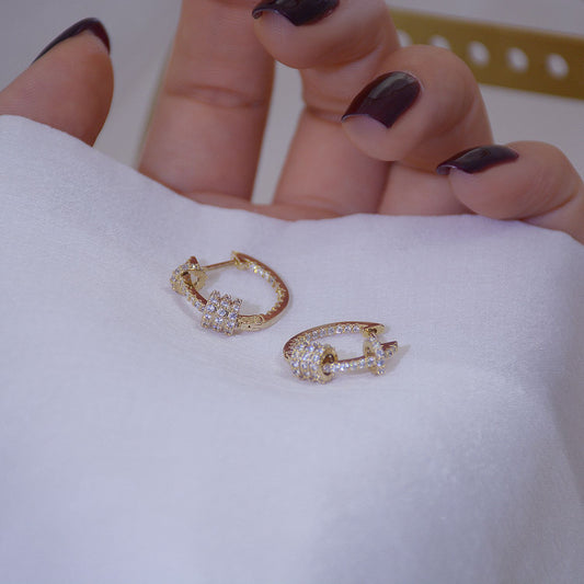 Delicate Micro-set Sparkling Diamond Hoop Earrings