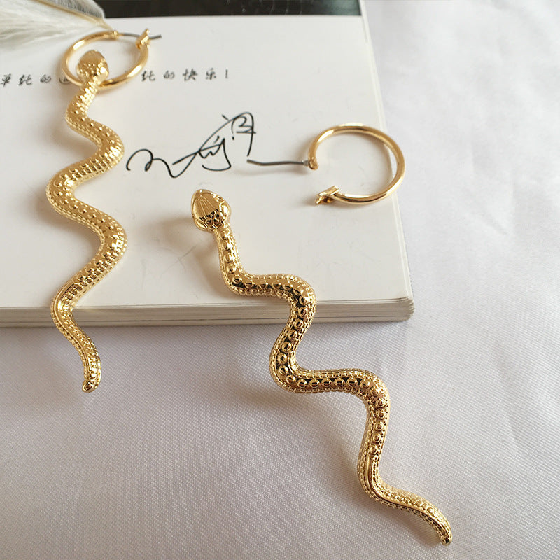 Exaggerated long snake earrings