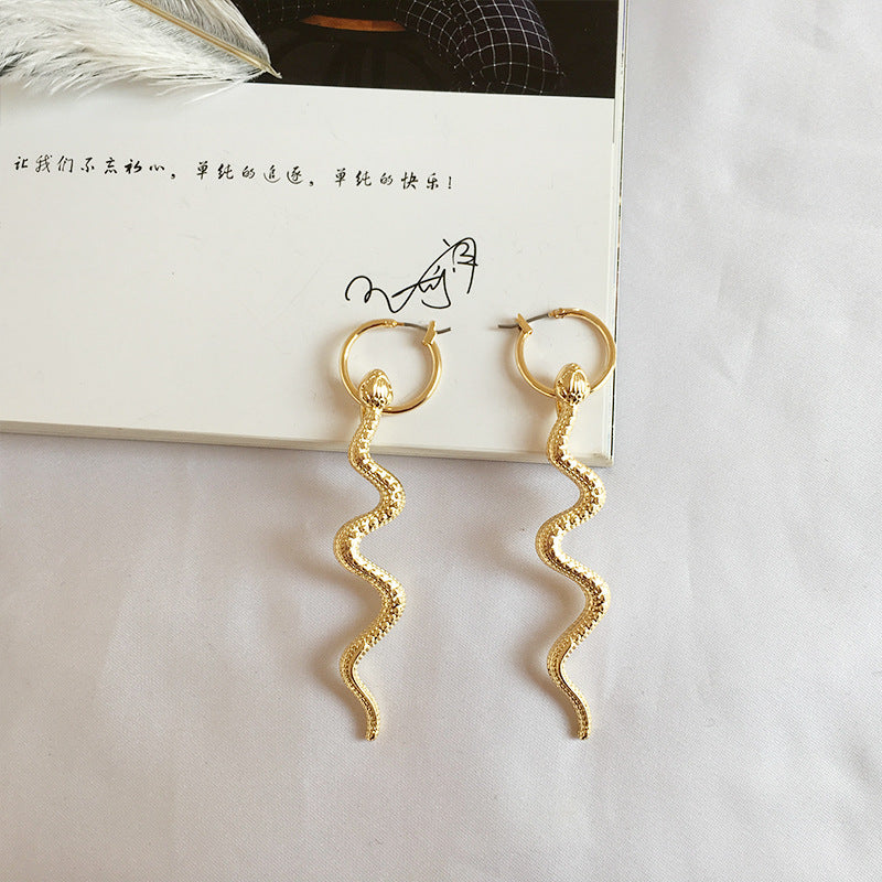 Exaggerated long snake earrings