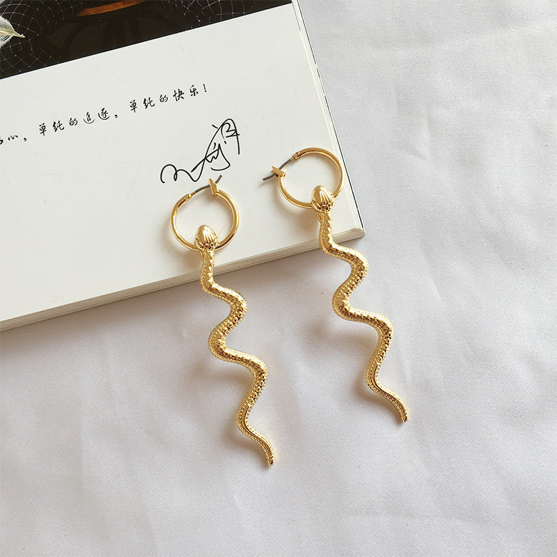 Exaggerated long snake earrings