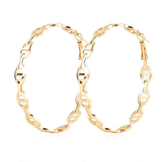 Hoop Earrings European And American  Style Earrings Earrings